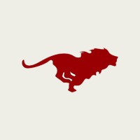 Lion Spirit Marketing