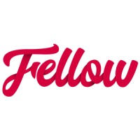 The Digital Fellow