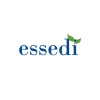EsseDi IT Consulting