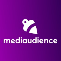 Media Audience