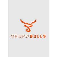 Grupo Bulls Agencia de Marketing