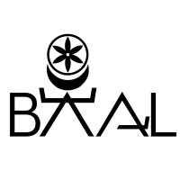 Baal360