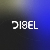 DISEL Consulting