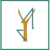 Lampyridae Comunicación