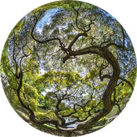 Tierra