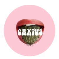 Caxtus Agency