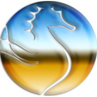 Seahorse Partner