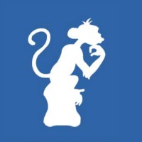 The Digital Thinker