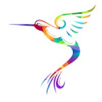 Yinger Company Agencia