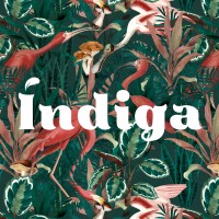 Índiga