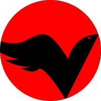 Vultur.Digital