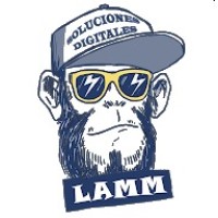 LAMM Soluciones Digitales