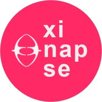 Xinapse | Publicidad con propósito