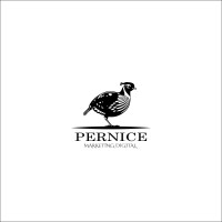 Pernice Marketing Digital