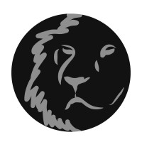 Lion Comunicación