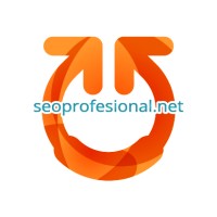 SEO profesional