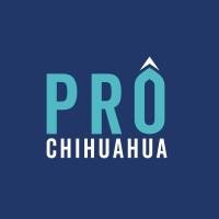 PRO Chihuahua
