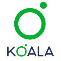 Koala Andina