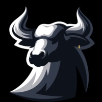 Creative Bulls - Agencia Digital Creativa