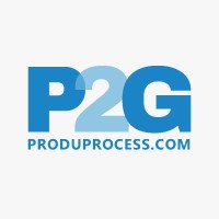 P2G - Production Process Group