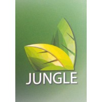 Jungle Soluciones Gráficas