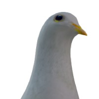 Súper superreal