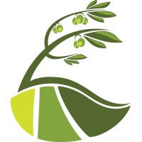 Los Olivos