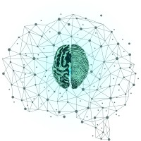 NMS | Neuro Marketing Strategy