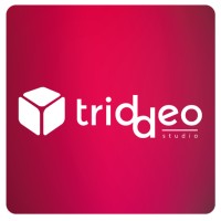 Triddeo · Agencia SEO | SEM