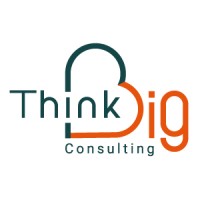 Think Big Consulting