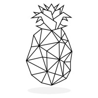 Piña Studio