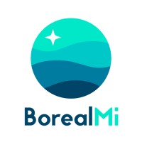 BorealMi - Agencia Digital