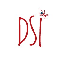 DSI Comunicación
