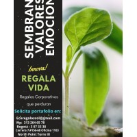Sembrando Valores & Emociones