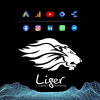 Liger > Digital Marketing