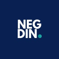 Negdin