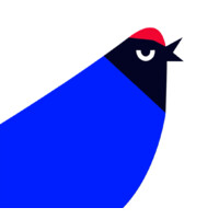 Blue Manakin