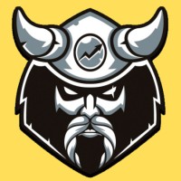VikingSEO