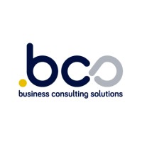 bcs Consultores de Negocio