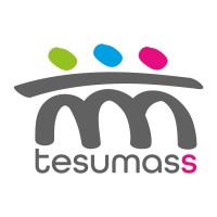 Tesumass, Marketing Online y Comunicación