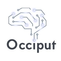 Occiput Consultores ltda