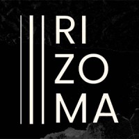 Rizoma Digital
