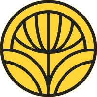 Médula Studio