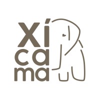 Xícama Studio